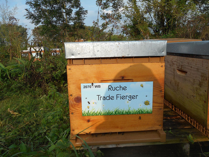 La ruche Trade Fierger
